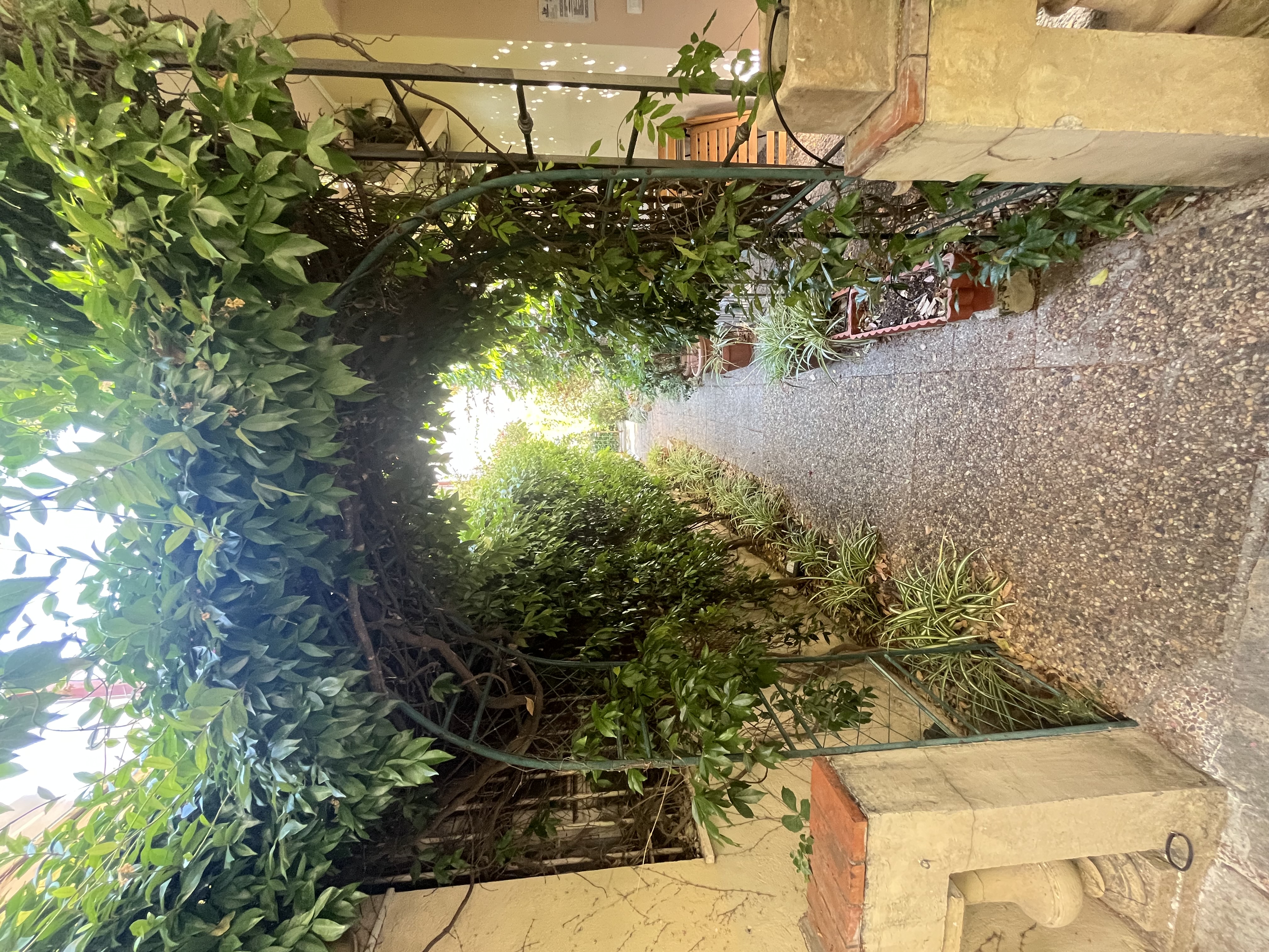 Location Le Jardin Suspendu - Conciergerie Coast Pearls Cannes